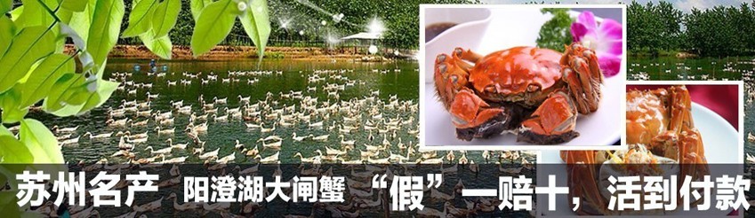��բз��ȯ�Ź�